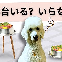 79位のイメージ