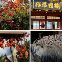 10位のイメージ