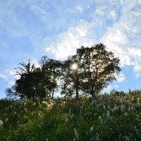 164位のイメージ