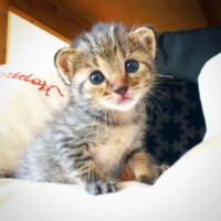 57位のイメージ