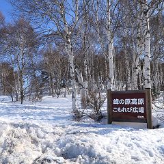 56位のイメージ