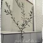 124位のイメージ