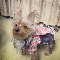 14位のイメージ