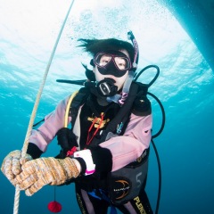 74位のイメージ