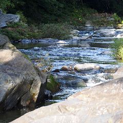 44位のイメージ