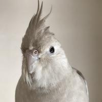 21位のイメージ