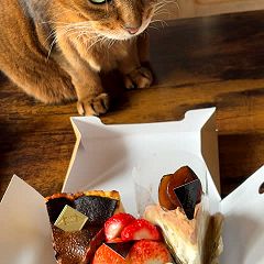 10位のイメージ