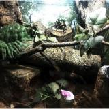 25位のイメージ