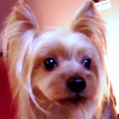 22位のイメージ