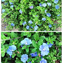 33位のイメージ