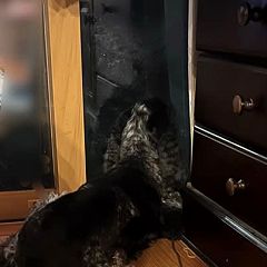 175位のイメージ