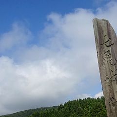 12位のイメージ