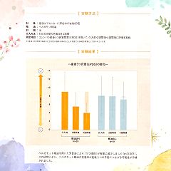 17位のイメージ