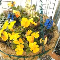 30位のイメージ