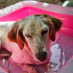 14位のイメージ