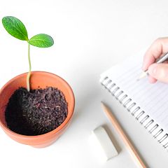 26位のイメージ