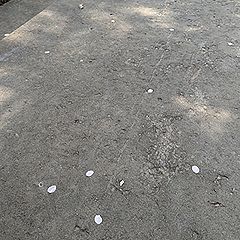 13位のイメージ