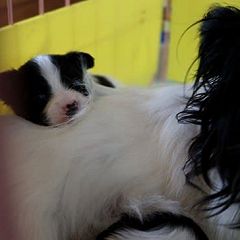 26位のイメージ