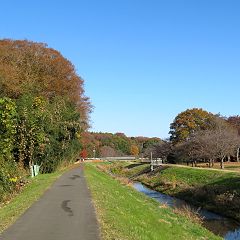 84位のイメージ