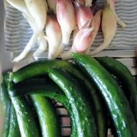 19位のイメージ