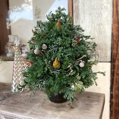 54位のイメージ