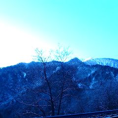 25位のイメージ