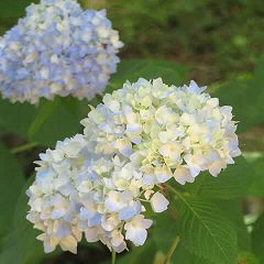 16位のイメージ