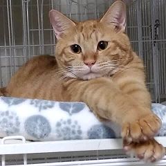 128位のイメージ