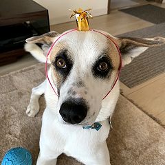 30位のイメージ