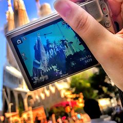 55位のイメージ