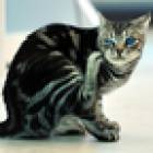 188位のイメージ