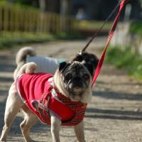 15位のイメージ