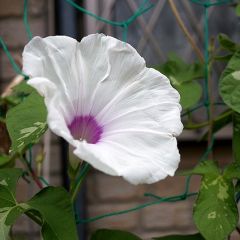 120位のイメージ