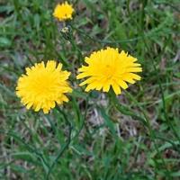 23位のイメージ