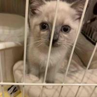 16位のイメージ