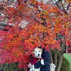 22位のイメージ