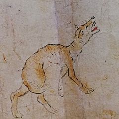 19位のイメージ