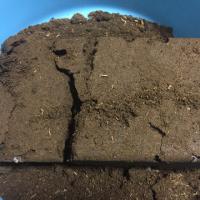 75位のイメージ