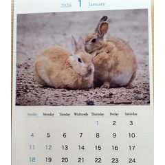 103位のイメージ