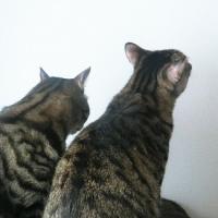 11位のイメージ