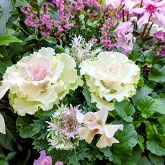 17位のイメージ