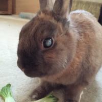 44位のイメージ