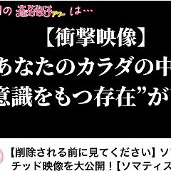 262位のイメージ