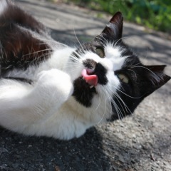 118位のイメージ