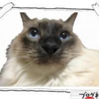 14位のイメージ