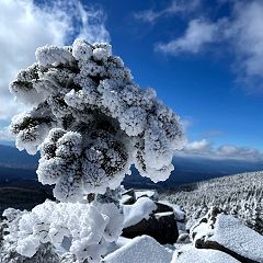 16位のイメージ
