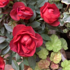 144位のイメージ