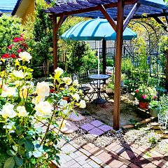 26位のイメージ