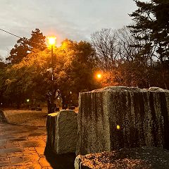 27位のイメージ