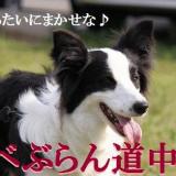 13位のイメージ